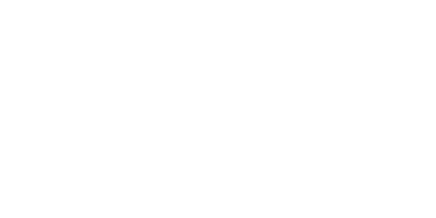 The Motley Fool